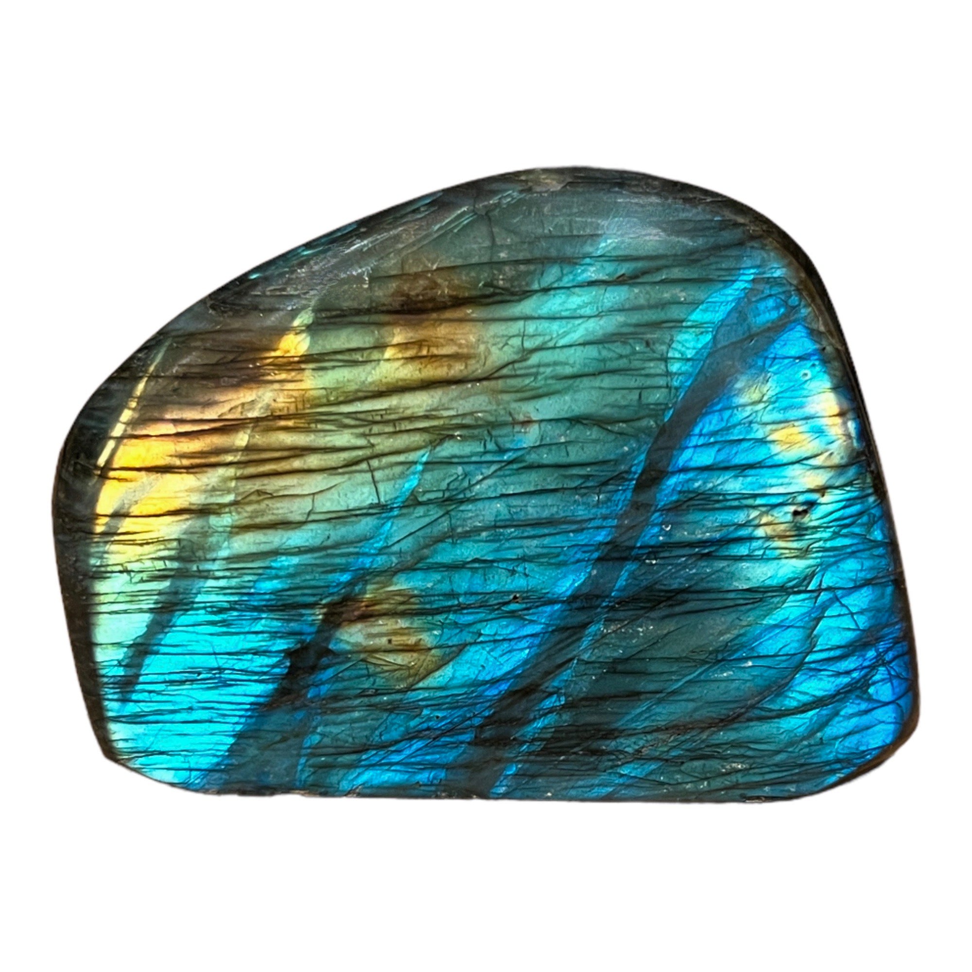 Labradorite Collection - Iridescent Beauty – Tyrannostorus