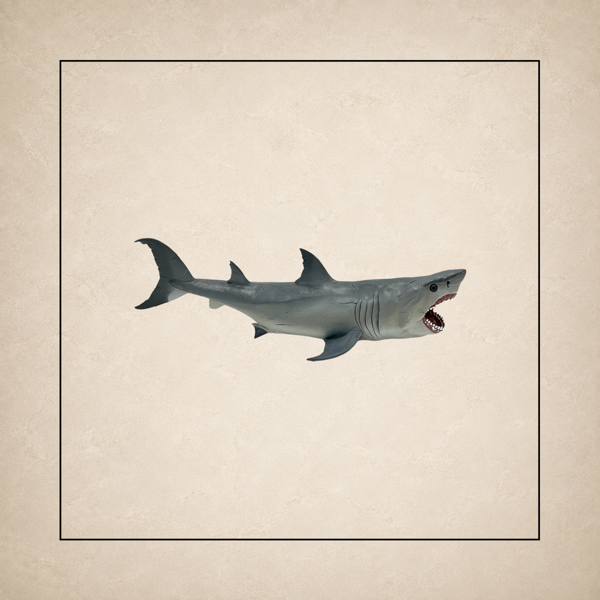Sharks