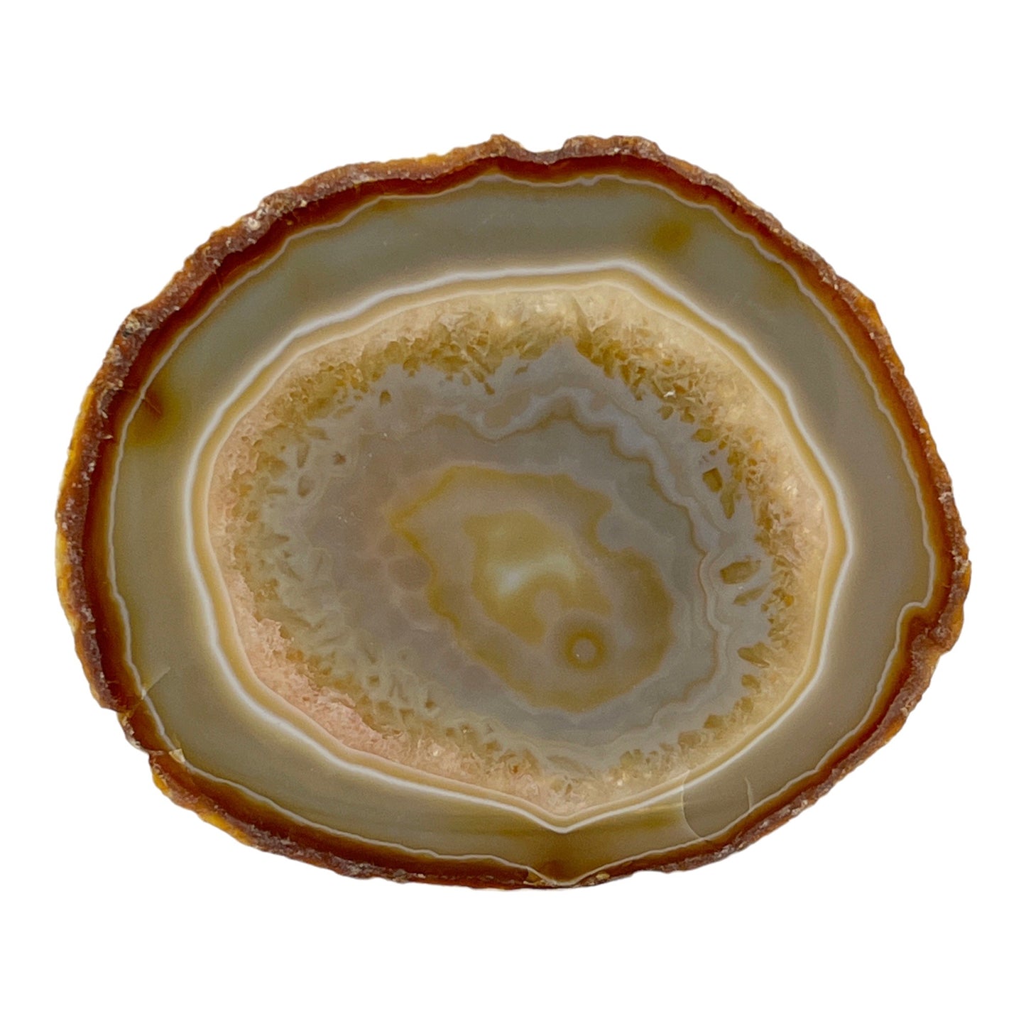 Agate Slice (Brown/Tan)