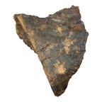 Triceratops Frill + Stand