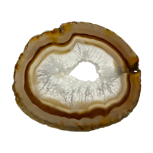 Agate Slice (Brown/Tan)