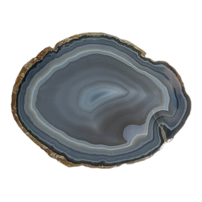 Agate Slice (Light Blue)