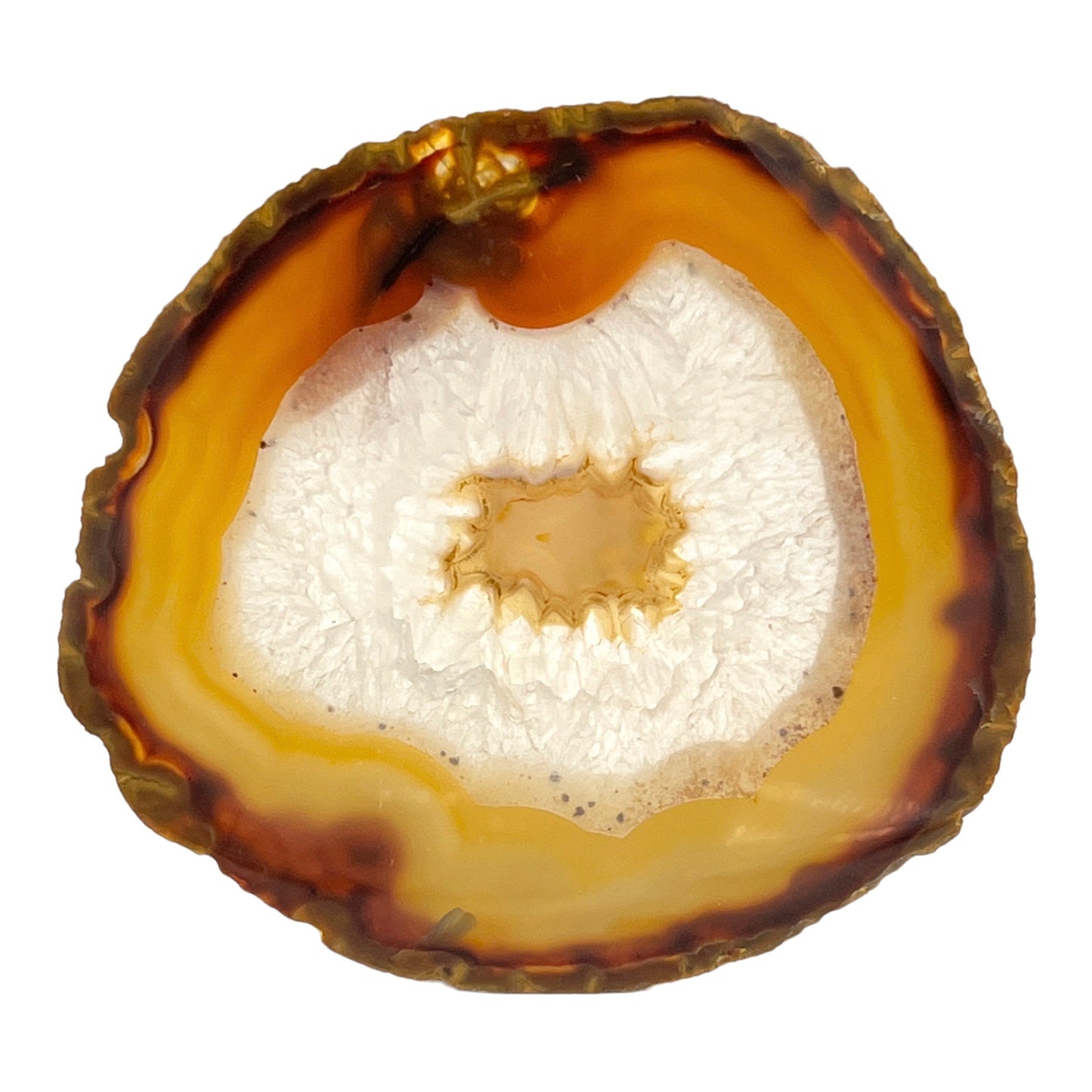 Agate Slice (Brown/Rust)