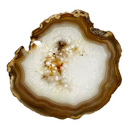 Agate Slice (Brown/Tan)