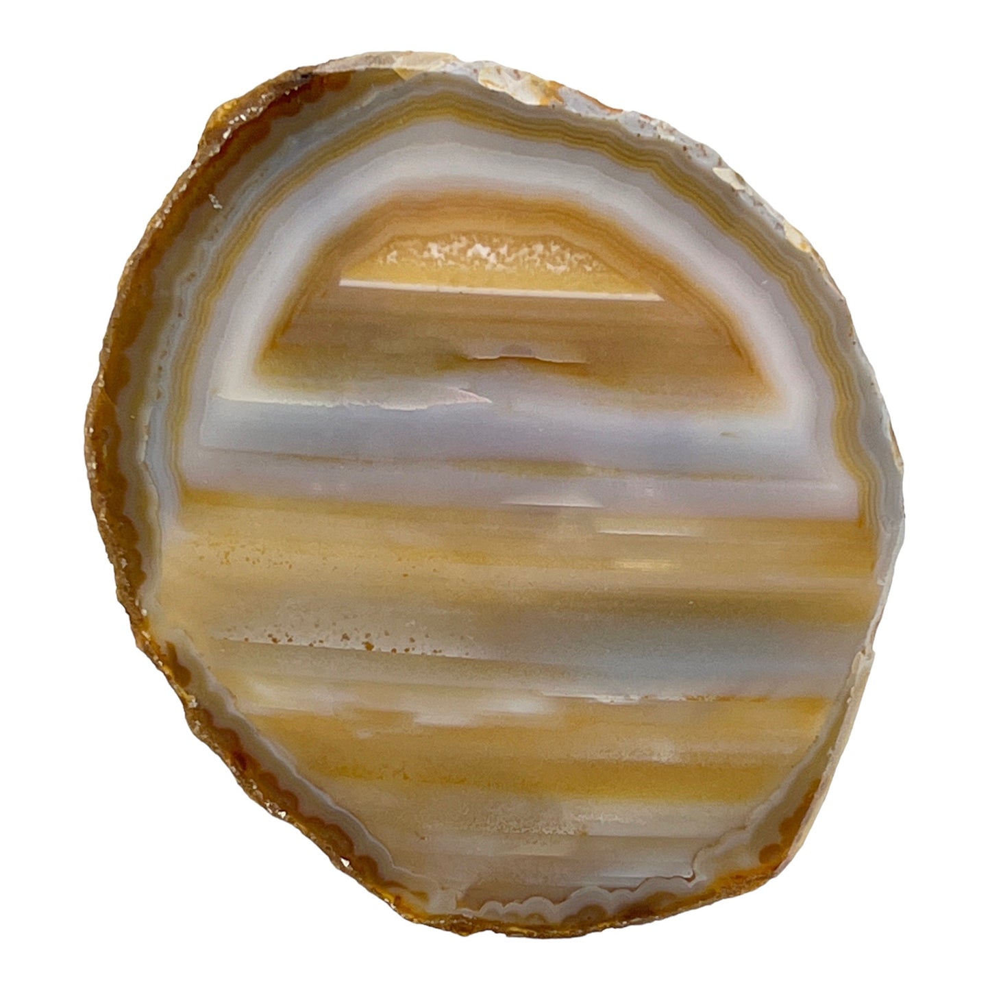 Agate Slice (Striped)