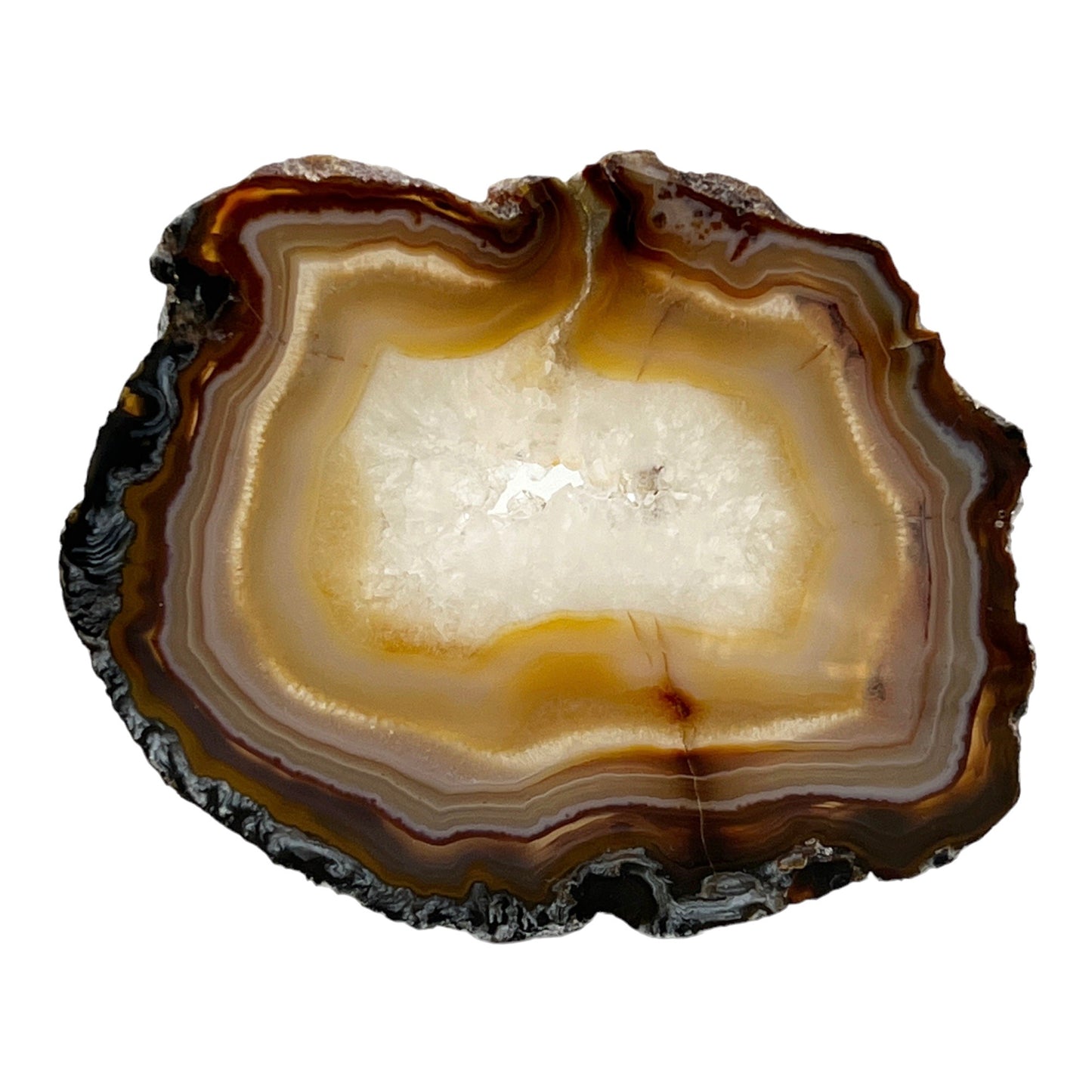 Agate Slice (Black)