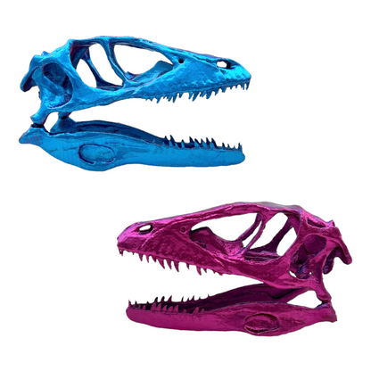 3D Printed Raptor Skull