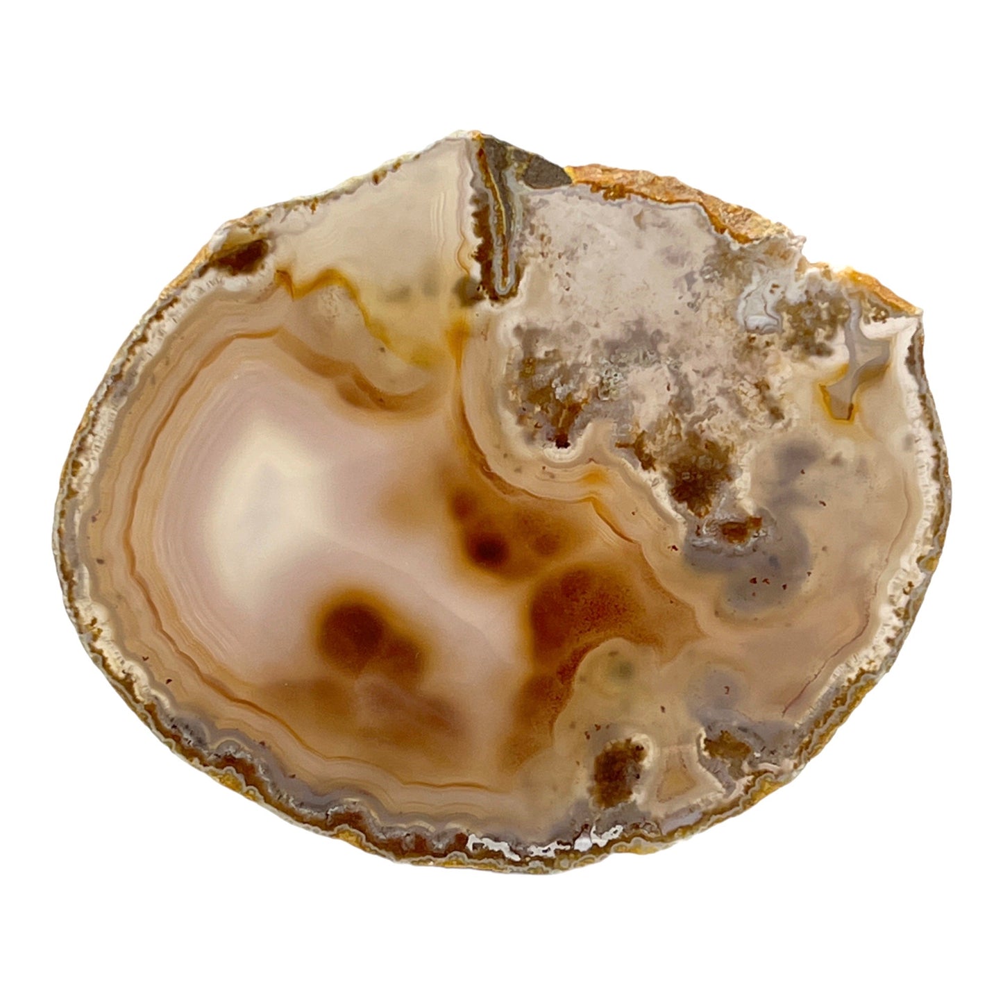 Agate Slice (Gray)