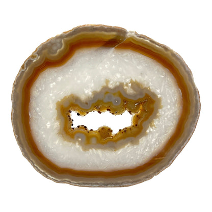 Agate Slice (Gray)