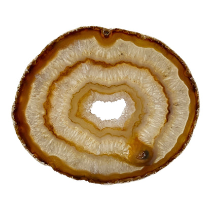 Agate Slice (Brown/Rust)