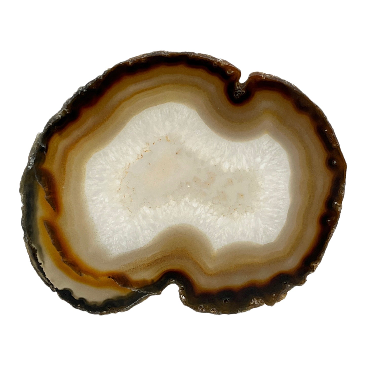 Agate Slice (Black)