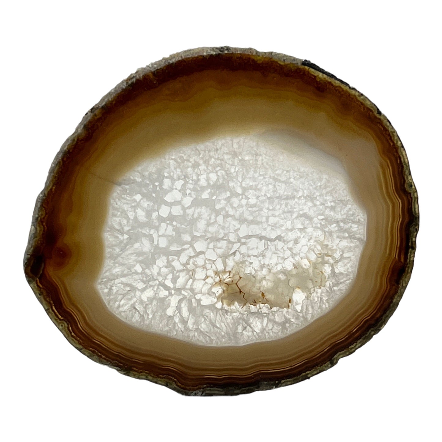 Agate Slice (Brown/Tan)