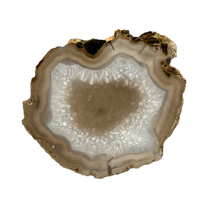 Agate Slice (Gray)