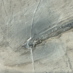 Keichousaurus Fossil