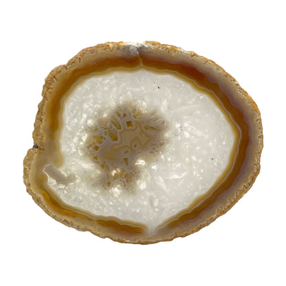 Agate Slice (Gray)