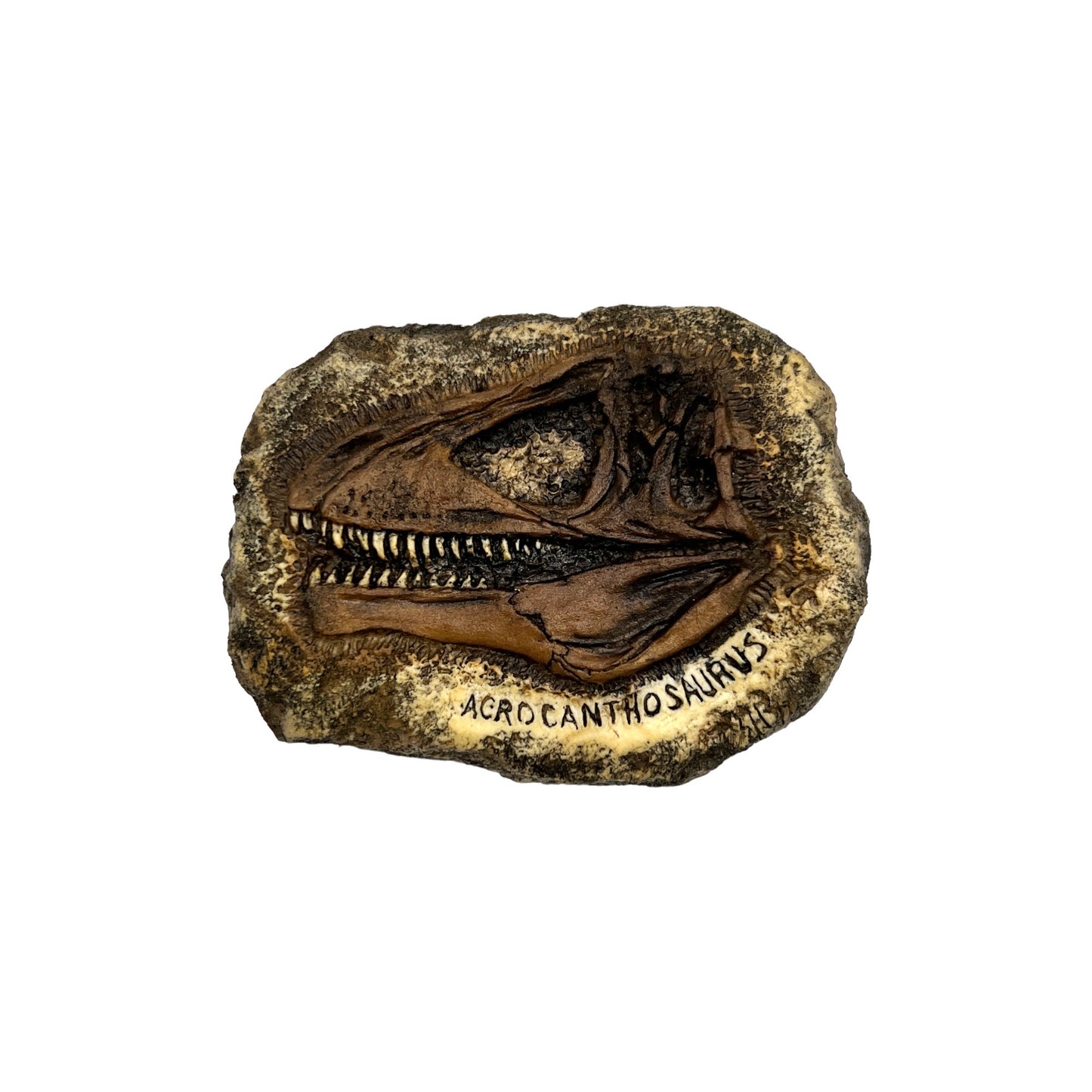 Skull Replica (Acrocanthosaurus Plaque)