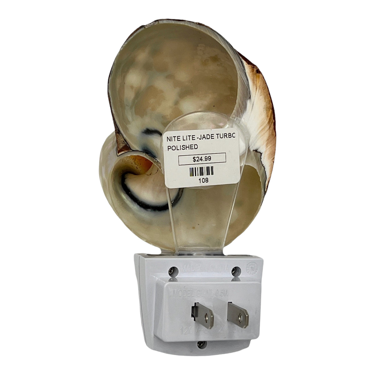 African Turbo Shell Night Light