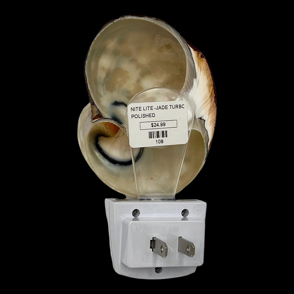 African Turbo Shell Night Light
