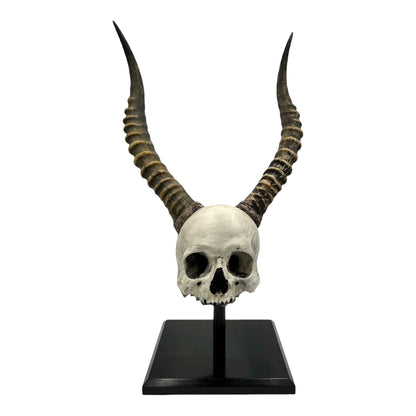 African Voodoo Skull