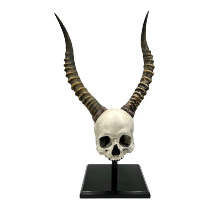 African Voodoo Skull