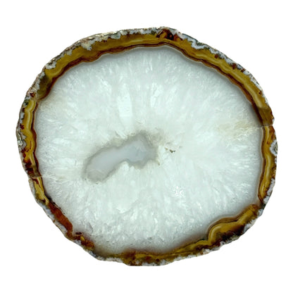 Agate Slice (Brown/Rust)