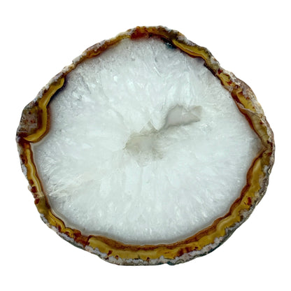 Agate Slice (Brown/Rust)