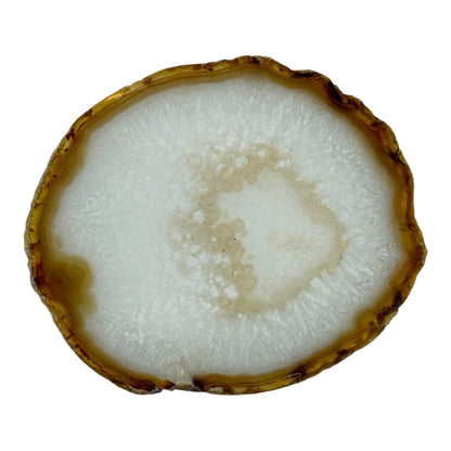 Agate Slice (Brown/Rust)