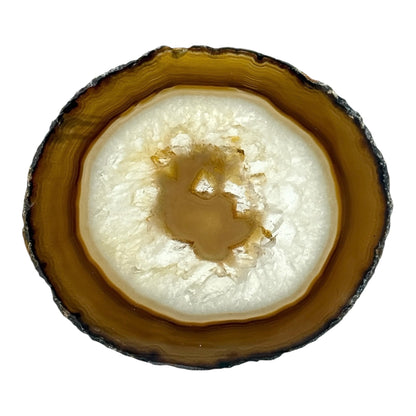 Agate Slice (Brown/Rust)