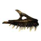 Maxilla Replica (Albertosaur)