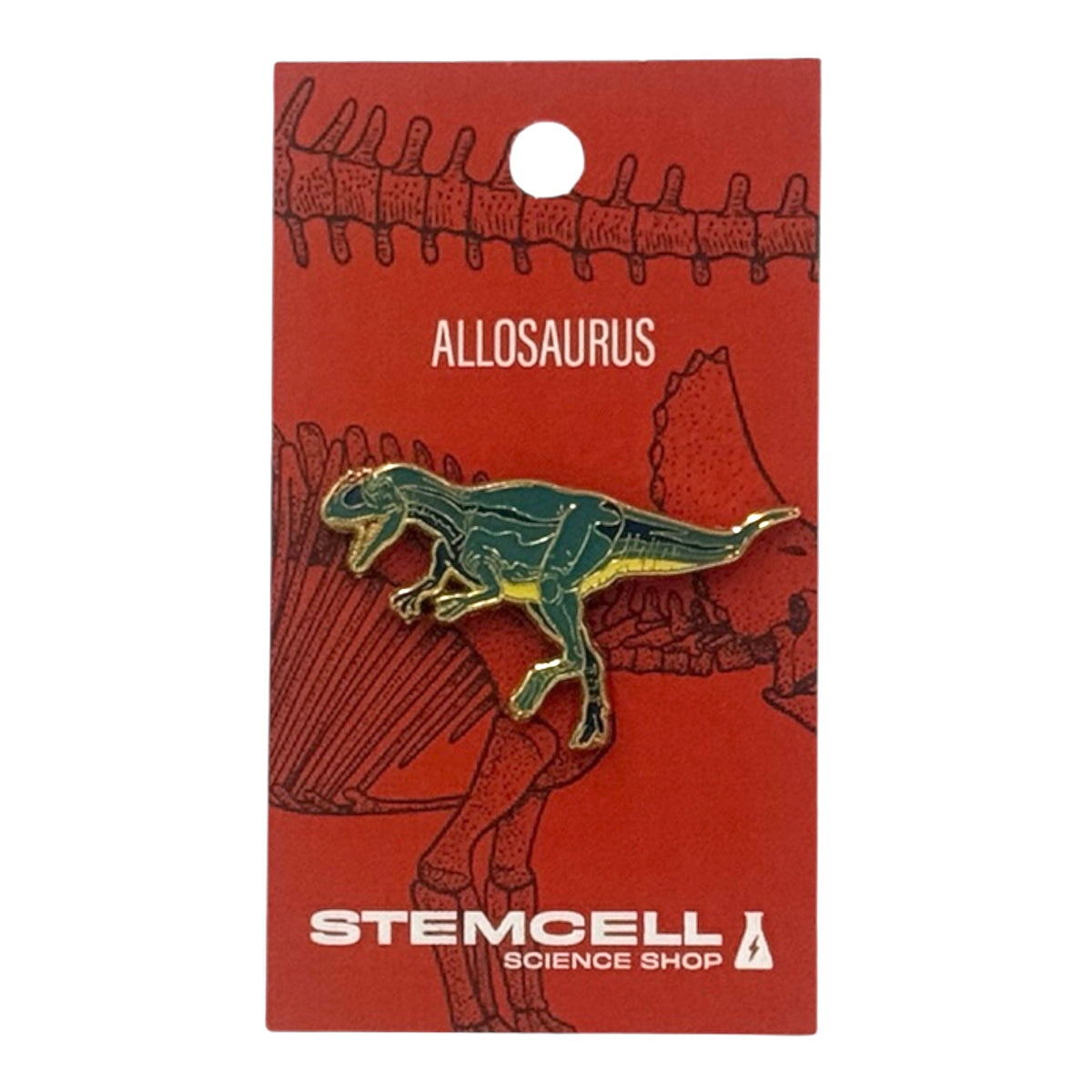 Prehistoric Pin