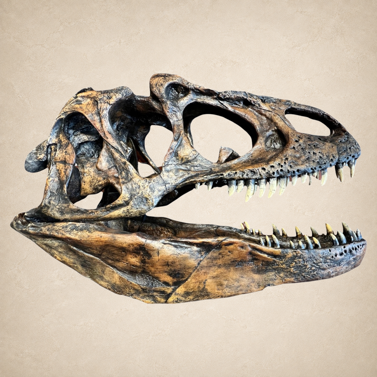 Tyrannostorus