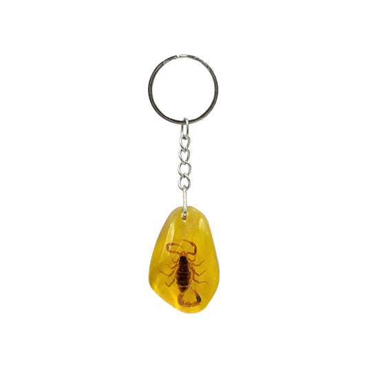 Scorpion Keychain (Amber)