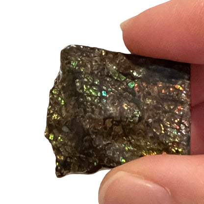 Ammolite