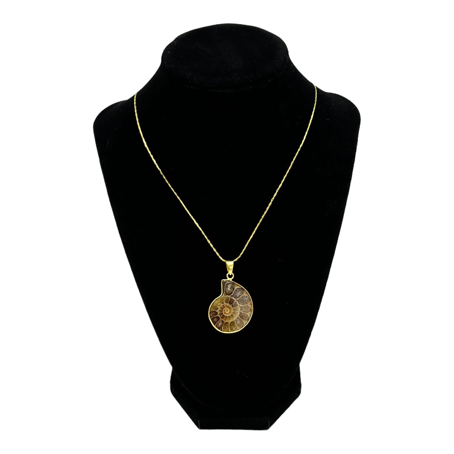 Ammonite Necklace