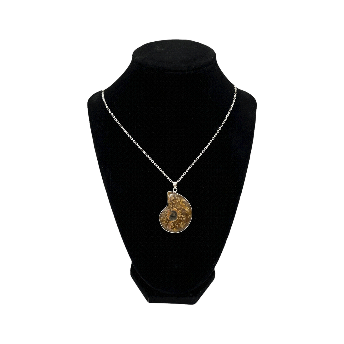 Ammonite Necklace