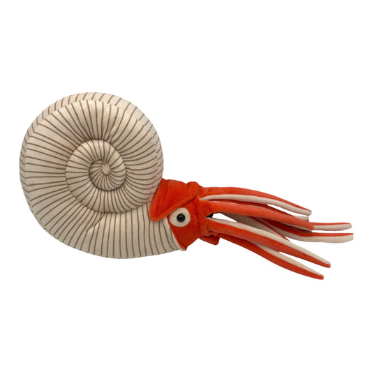 Ammonite Plush