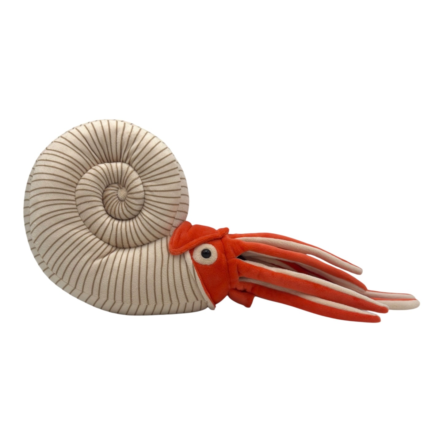 Ammonite Plush