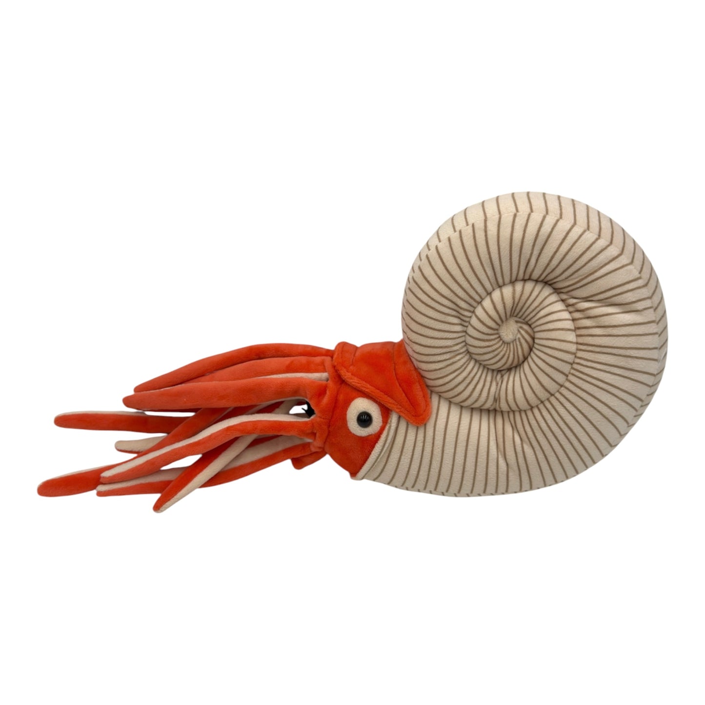 Ammonite Plush