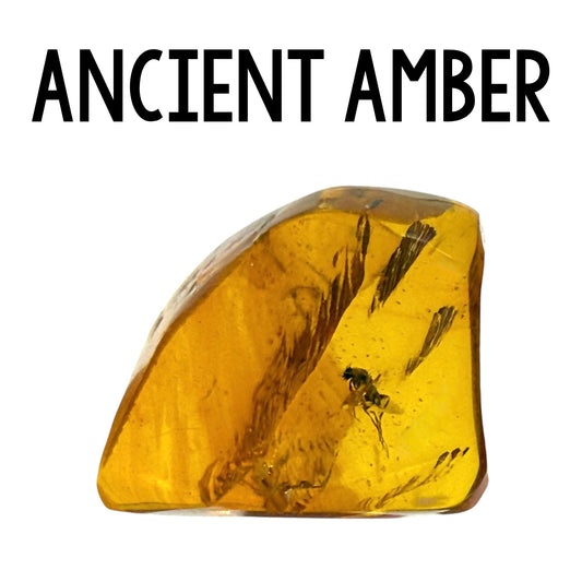 Ancient Amber Class
