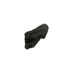 Fossil Shark Tooth (Angustidens Fragment)