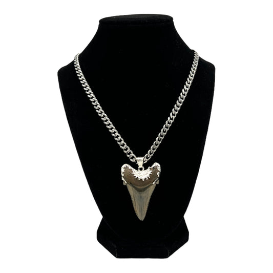 Fossil Shark Tooth (Angustidens) Necklace