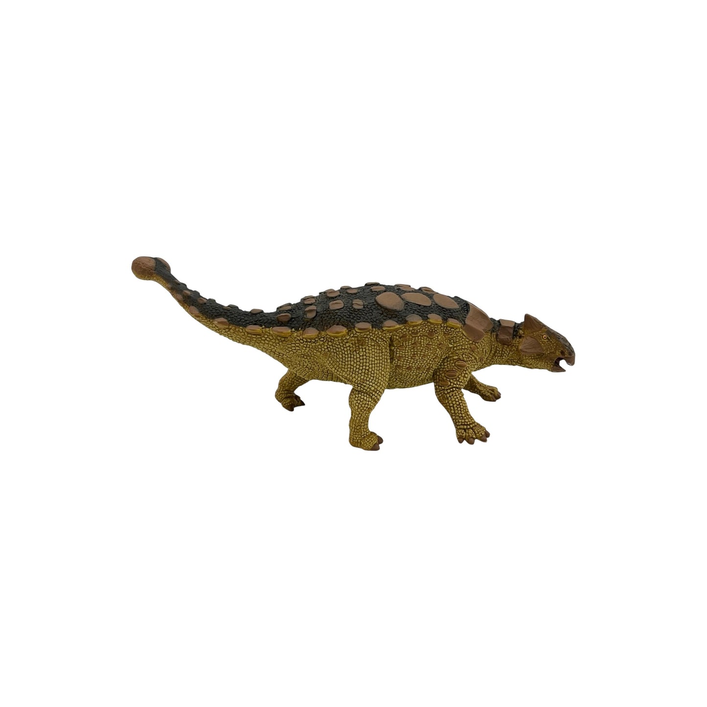 Ankylosaurus (Safari)