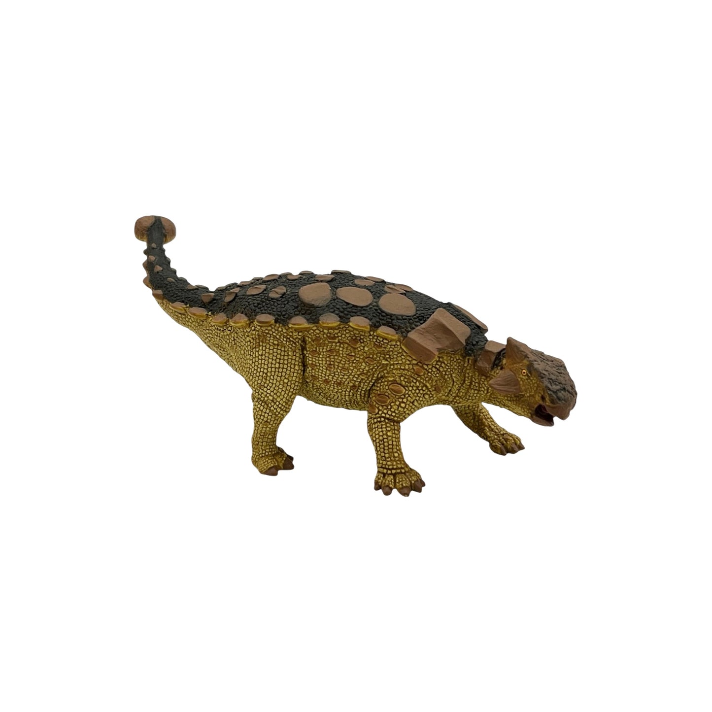 Ankylosaurus (Safari)