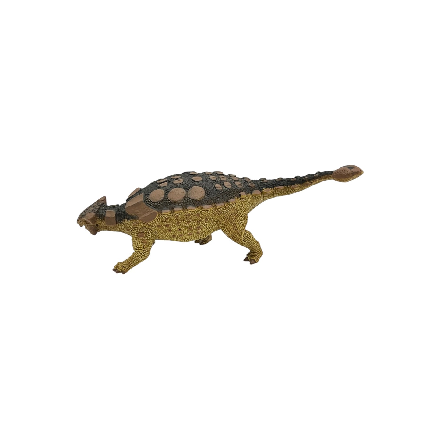 Ankylosaurus (Safari)