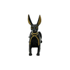 Anubis Lying Down