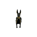 Anubis Lying Down