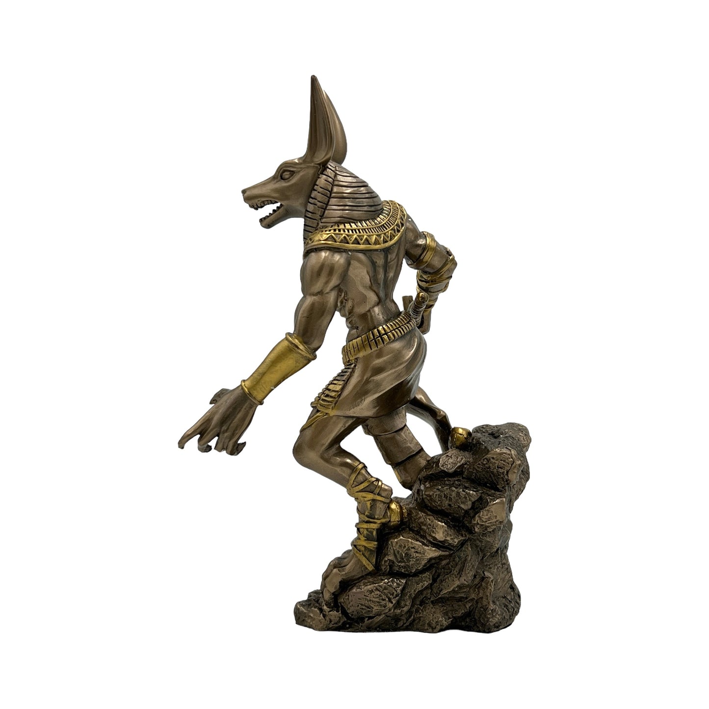 Anubis on Rock