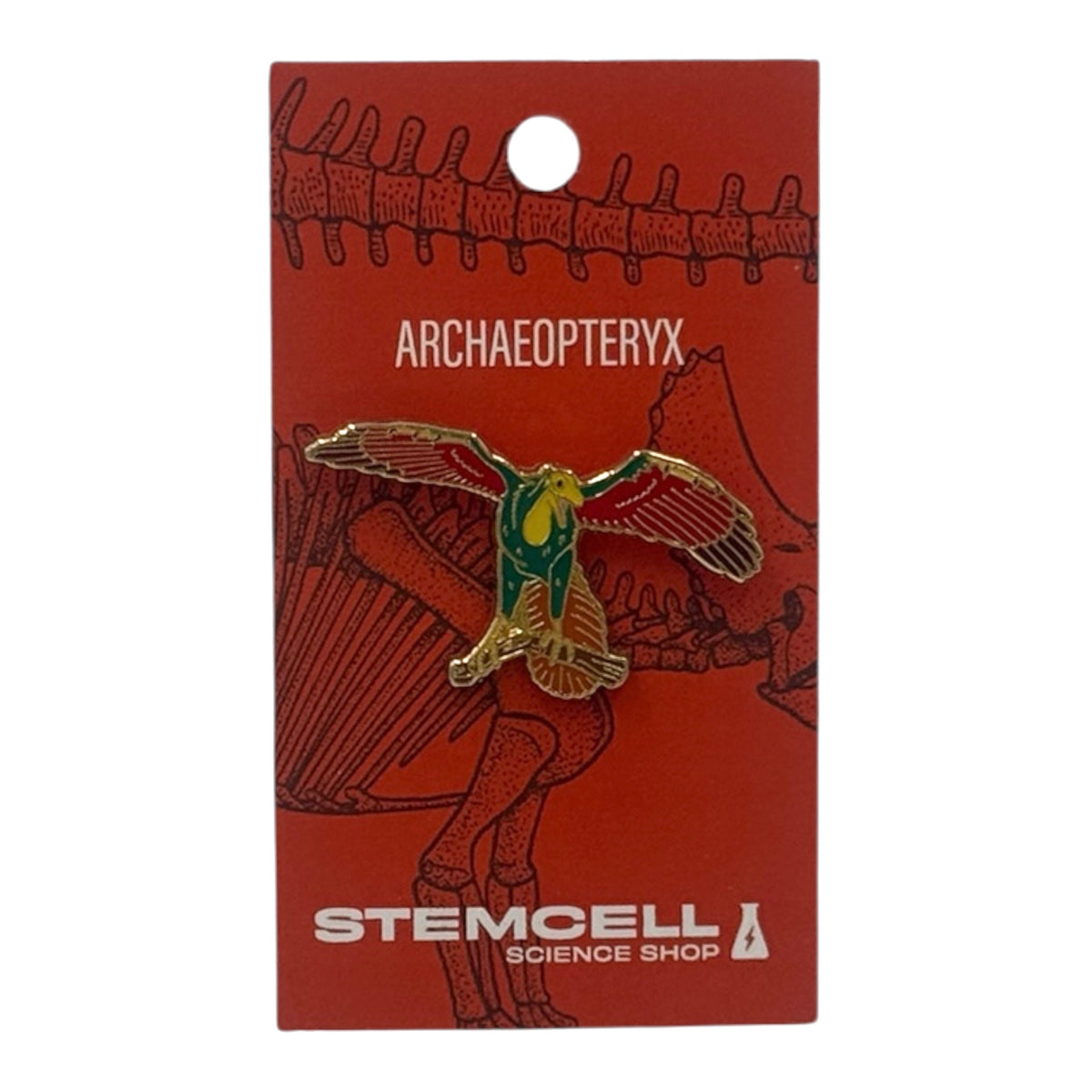 Prehistoric Pin