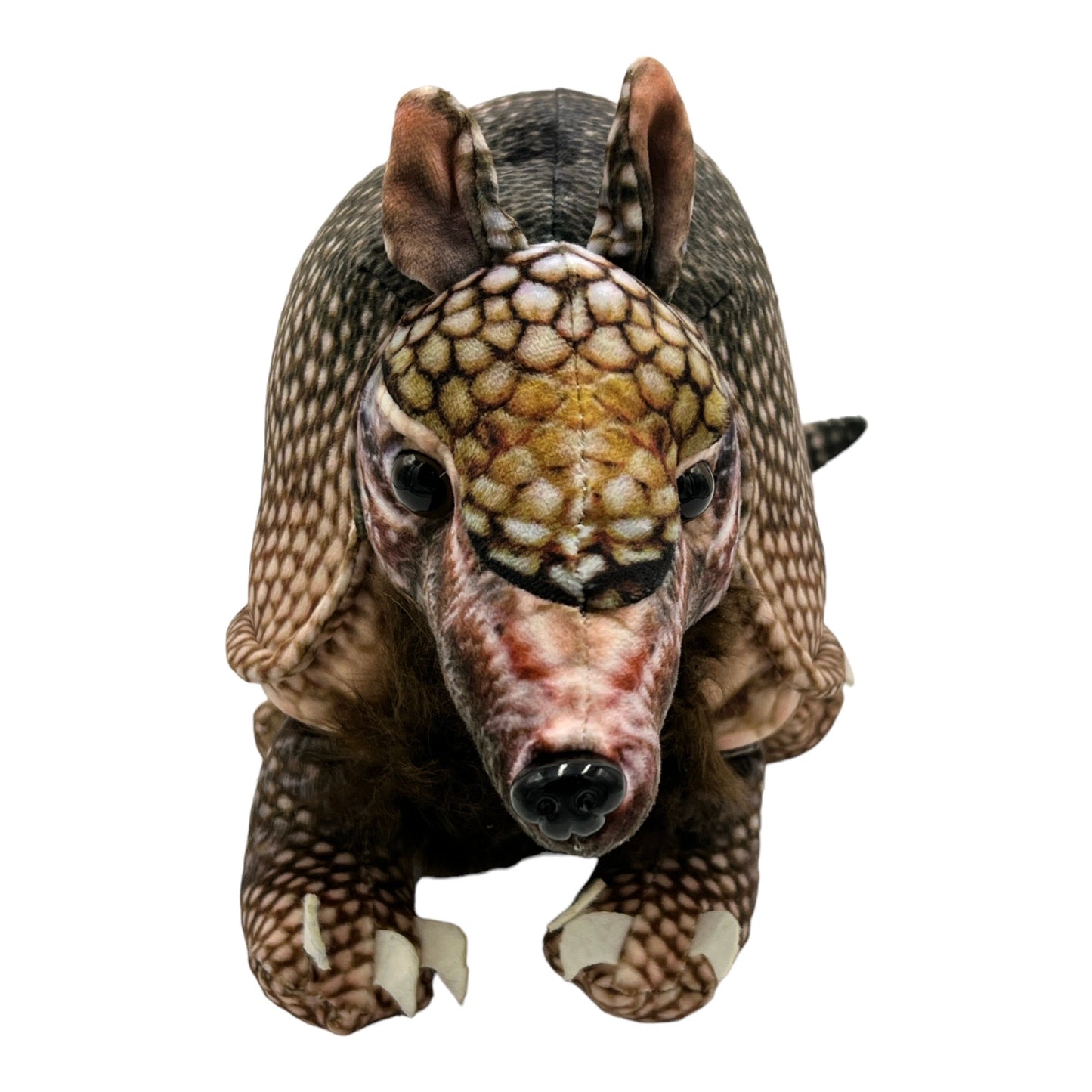 Armadillo Plush