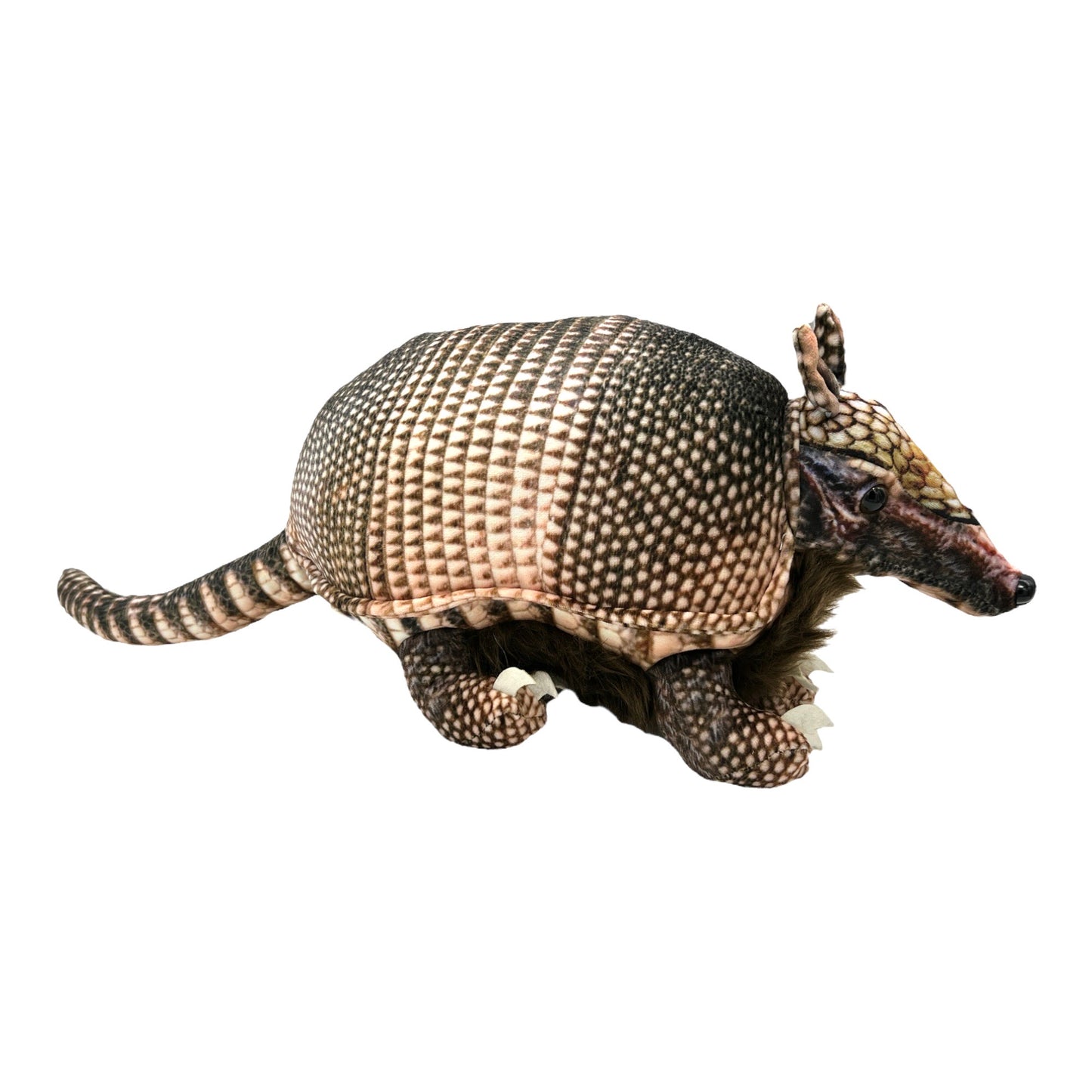 Armadillo Plush